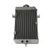 Радиатор ATV YAMAHA YFM660